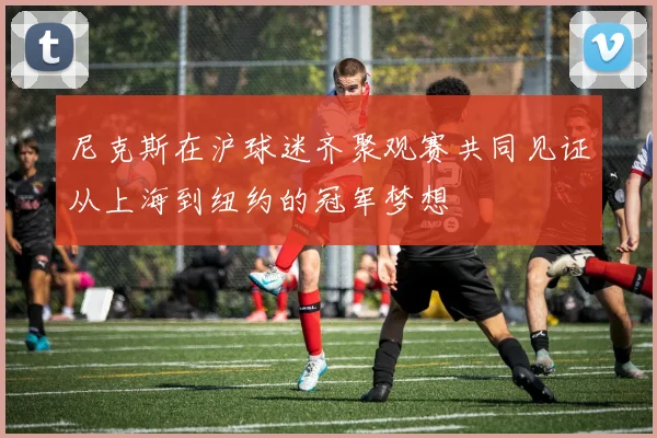 尼克斯在沪球迷齐聚观赛共同见证从上海到纽约的冠军梦想