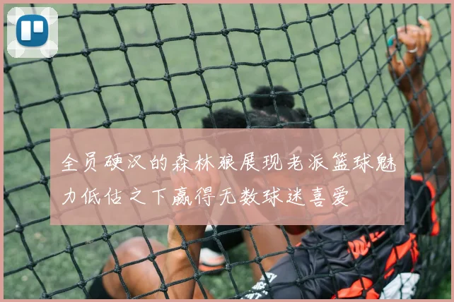 全员硬汉的森林狼展现老派篮球魅力低估之下赢得无数球迷喜爱